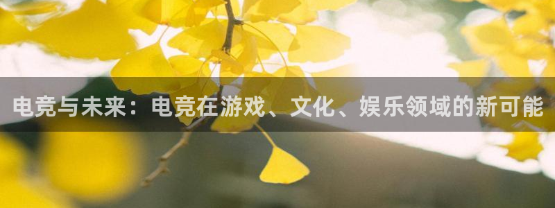 乐竞电竞乐竞电竞官网首页：电竞与未来：电