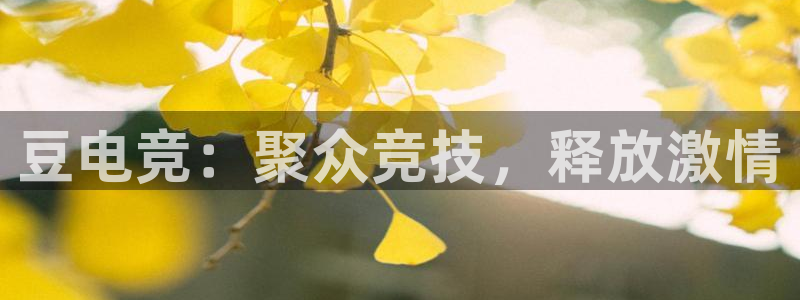 乐竞电竞官网蹿55kaivip