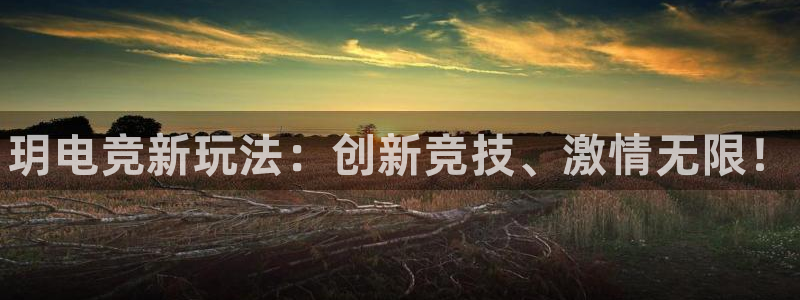 乐竞电竞体育：玥电竞新玩法：创新竞技、激