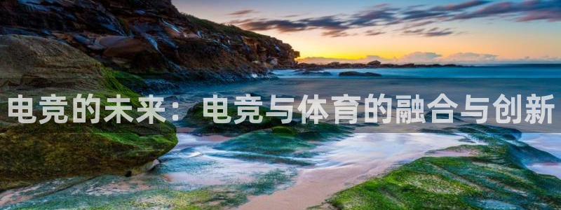 乐竞电竞官网网站