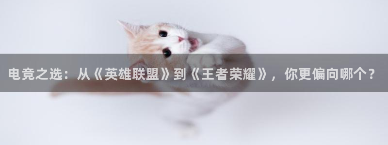 乐竞电竞平台官网入口：电竞之选：从《英雄