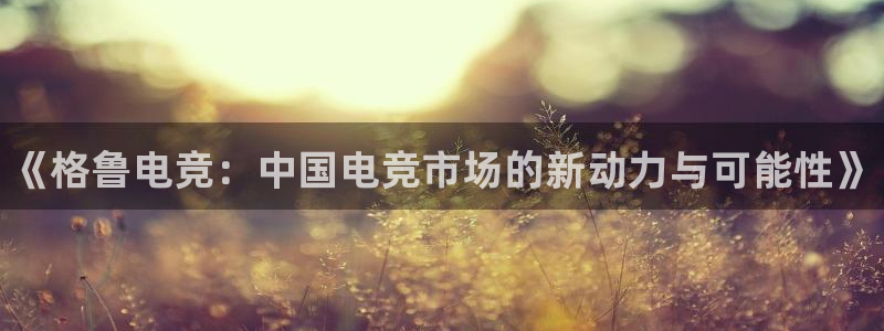 乐竞电竞入口app版：《格鲁电竞：中国电