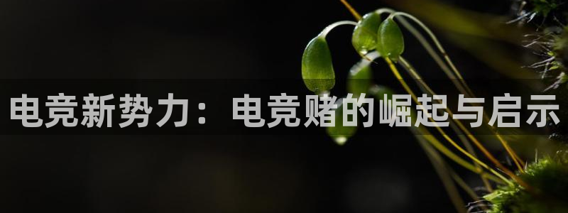 乐竞电竞下载ios：电竞新势力：电竞赌的
