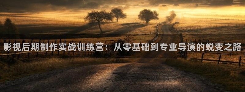 91丝瓜视频免费下载：影视后期制作实战训练营：从零基础到专业导演的蜕变之路