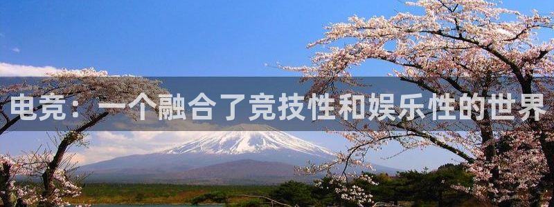 乐竞电竞官网：电竞：一个融合了竞技性和娱乐性的世界