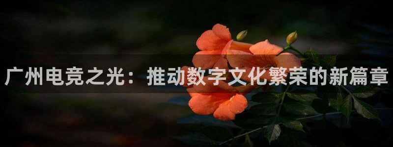 乐竞电竞下载入口