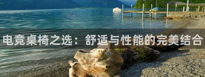 乐竞电竞是什么：电竞桌椅之选：舒适与性能